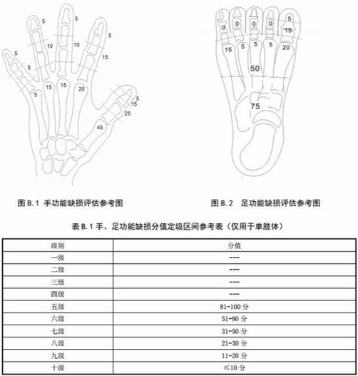 手足評殘標準圖 手足評殘標準圖