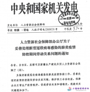 �P������̎�����͹ڠ����Ⱦ�ķ������������